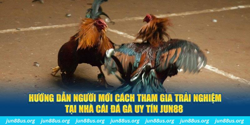 pg88 slot CQ9 Điện Tử