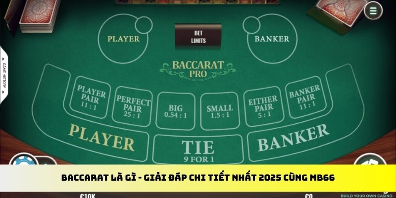 pg88 slot gà chọi cu cần