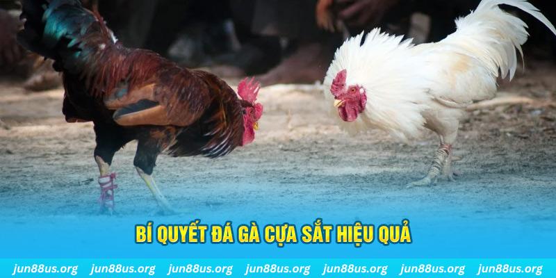 pg88 slot xin 1 slot là gì