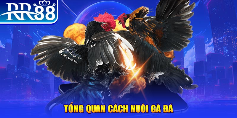 pg88 slot VA Điện Tử