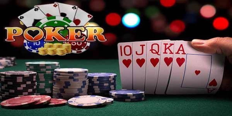 pg88 slot đá gà thomo trực tiếp
