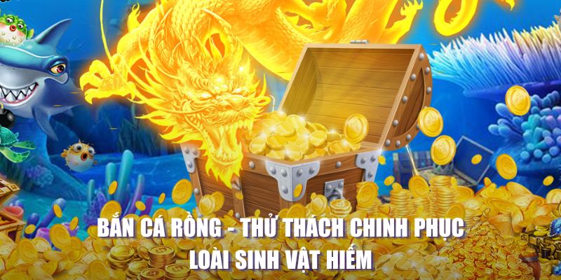 pg88 slot máy slot game là loại trò chơi gì？
