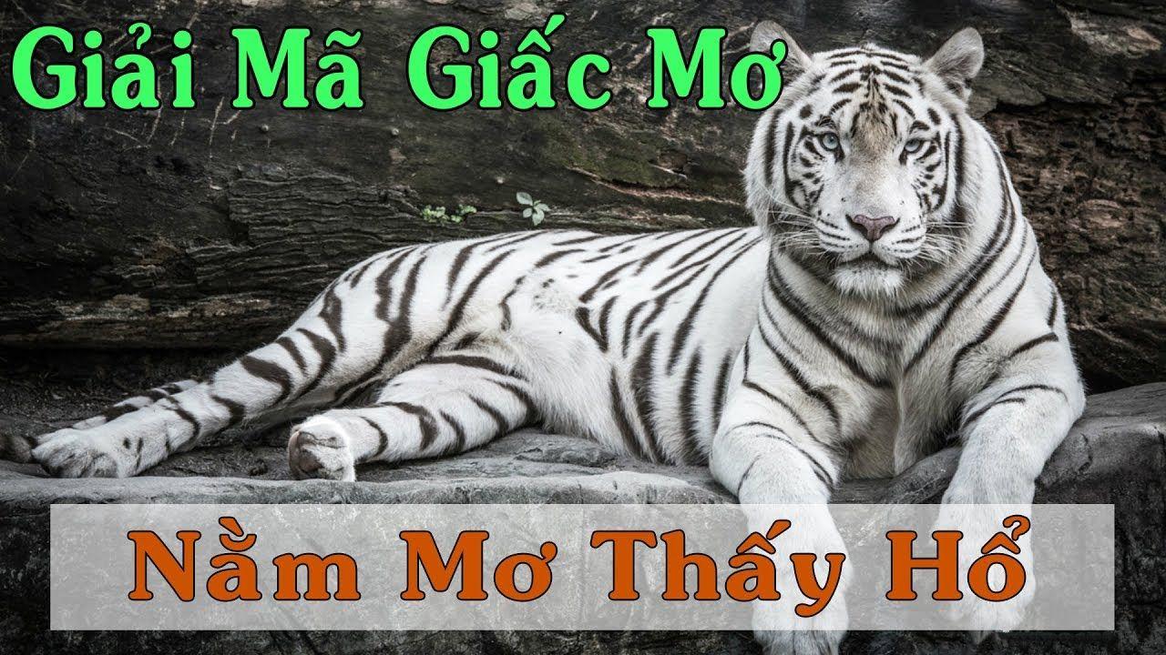 pg88 slot WM Trực Tuyến