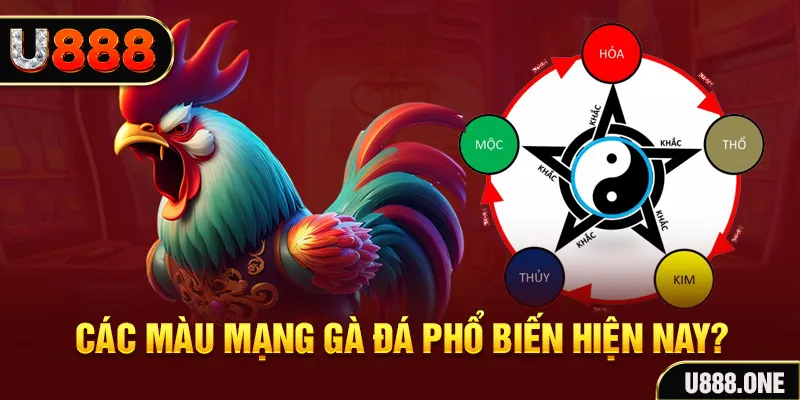 pg88 slot trực tiếp đá gà 88
