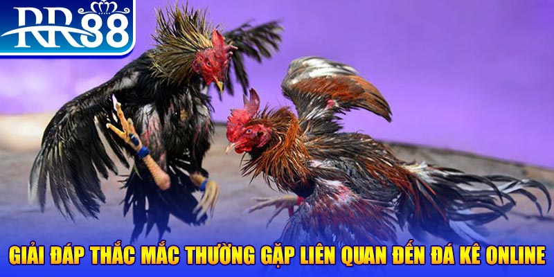 pg88 slot slot machine là gì
