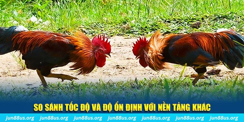 pg88 slot đá gà hôm nay