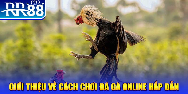 pg88 slot game nổ hũ rút tiền mặt là gì