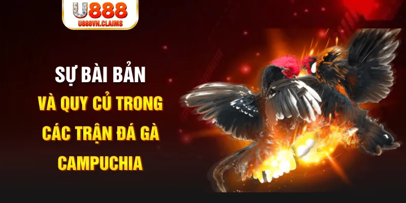 pg88 slot YGR Điện Tử