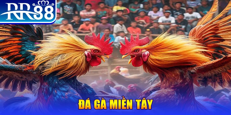 pg88 slot chơi slot là gì