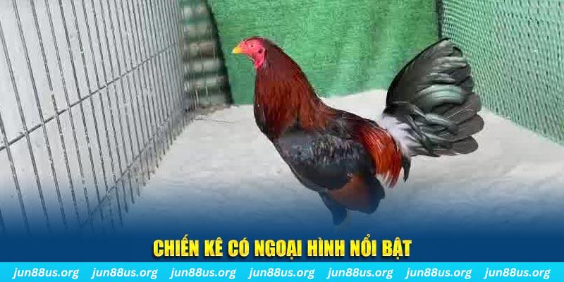 pg88 slot chạy quảng cáo cho game bài bị phạt như thế nào